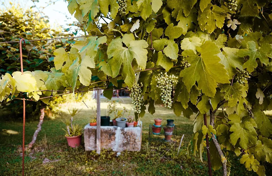 Borgo Tarapino Campagna-1